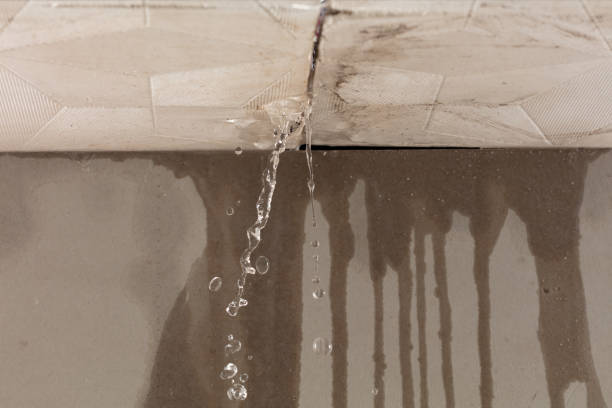 Professional Water Damage Repair technician working in Troup, TX